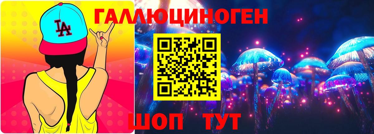 как найти   Вход с VPN  Выборг  Псилоцибиновые грибы Magic Shrooms 
