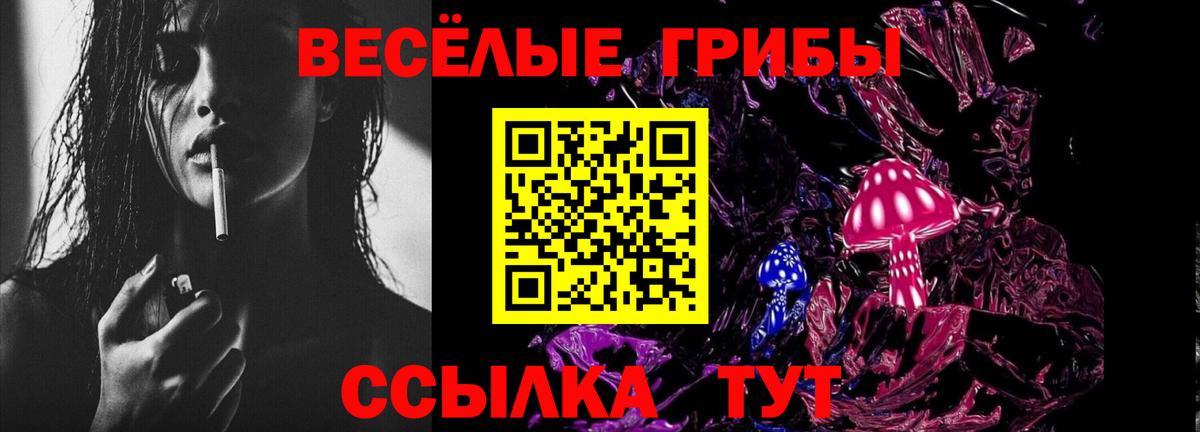 Псилоцибиновые грибы MAGIC MUSHROOMS Выборг
