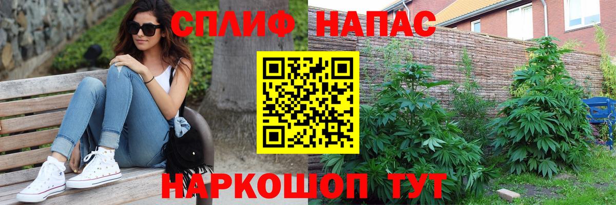 МАРИХУАНА SATIVA & INDICA Выборг